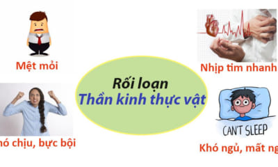 Rối loạn thần kinh thực vật